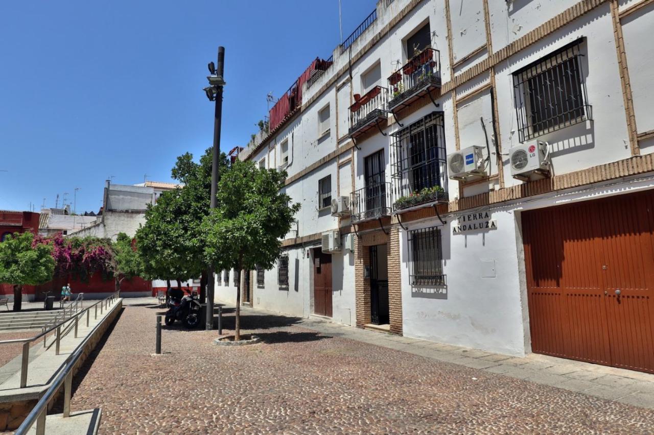 New Apartamento Tierra Andaluza Junto Mezquita Apartment Córdoba Exterior foto